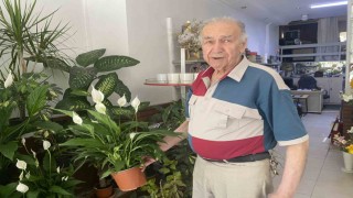 Direkt güneş ışığı çiçekler için zararlı