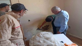 Diyadinde okullar yeni döneme hazırlanıyor