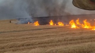 Diyarbakırda 5 bin dönüm arazi alevlere teslim oldu