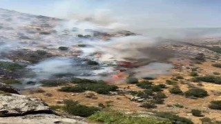Diyarbakırda çıkan örtü ve orman yangınları söndürüldü