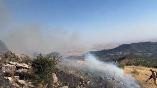 Diyarbakırda örtü yangını