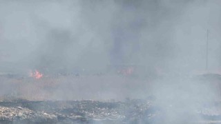 Diyarbakırda otluk alanda korkutan yangın