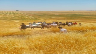 Diyarbakırda otomobil tarlaya yuvarlandı: 5 yaralı