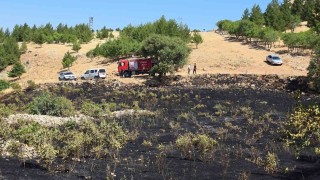 Diyarbakırda yüksek gerilim hattına çarpan kuş yangına neden oldu