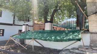 Dökülen dutlar için ağlı önlem