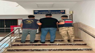 Dolandırıcılık suçundan aranan şahıs yakalandı