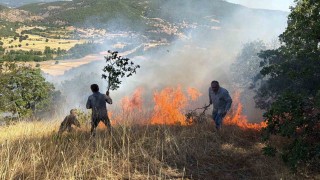 Domaniçte tarlada başlayan ve ormanlık alana sıçrayan yangın söndürüldü
