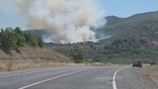 Domaniçte tarlada başlayan yangın ormana sıçradı