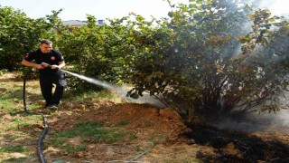 Düzce İtfaiyesi 3 ayda 300 anız yangınına müdahale etti
