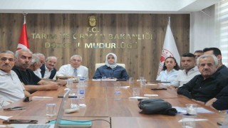 Düzcede fındık rekolte tahmin çalışmaları değerlendirildi