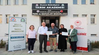 Düzce'de ilk kez yetişen siyez buğdayının hasadı yapıldı
