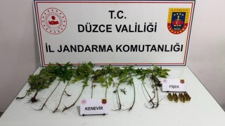 Düzcede jandarmadan uyuşturucu operasyonu