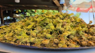 Düzcede yeni sezon fındığı yol kenarı tezgahlarında yerini aldı