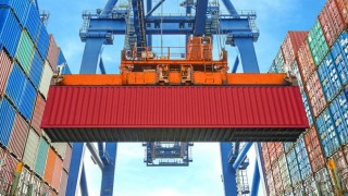 Düzceden 4 bin 135 ton orman ürünü ihraç edildi