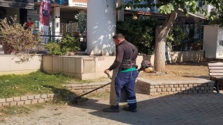 Efeler Belediyesinden yeşil alanlarda çalışma