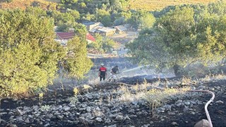 Elazığda arazi yangını