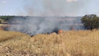 Elazığda arazi yangını ekiplerin müdahalesi sürüyor