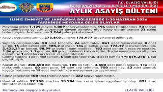 Elazığda asayiş uygulamaları: Bin 89 şahıs yakalandı