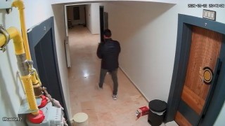 Elazığda çiçek hırsızı kameraya yakalandı