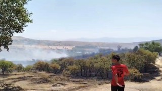 Elazığ'da çıkan yangın söndürüldü