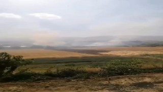 Elazığda otluk alanda yangın