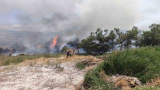 Elektrik direğinden çıkan yangın korkuttu