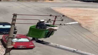 Elektrik tellerine takılan kuş kurtarıldı