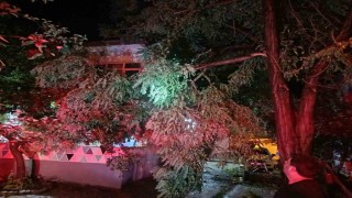 Erdek'te fırtına ve dolu yağışı: Ağaçlar devrildi, çatılar uçtu
