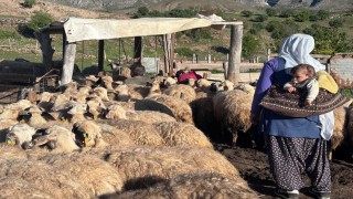 Erzincan Tulum Peyniri yaylalarda geleneksel yöntemlerle üretiliyor