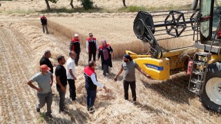 Erzincanda buğday hasadı sürüyor, biçerdöverler denetlendi