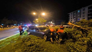 Erzincan'da iki otomobil çarpıştı: 1 kişi yaralandı