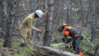 Erzurumun akciğerlerine planlı dokunuş