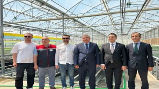 Eskişehir Valisi Dr. Erdinç Yılmaz, Sarıcakayadaki fide tesisini ziyaret etti