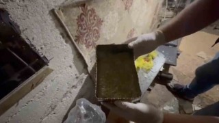 Evde bonzai üretip sattıkları öne sürülen şüphelilere operasyon: 1 tutuklama