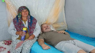 Felçli eşinin rahat etmesi için başında sinek nöbeti tutuyor