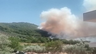 Fethiye'de orman yangını