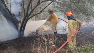 Fethiye'deki yangının enerjisi düşürüldü