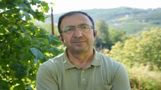 Fındık toplama hızını 3-4 kat artırıyor: Profesörden file örtü önerisi