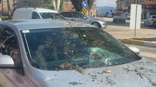 Fırtınada kökünden sökülen ağaç otomobilin üzerine devrildi