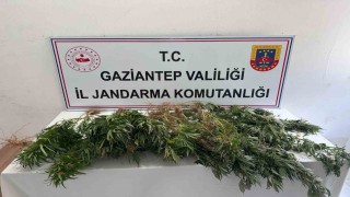 Gaziantep jandarmadan uyuşturucu operasyonu