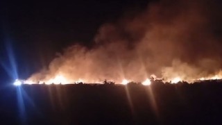 Gaziantepte korkutan anız yangını