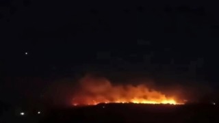 Gaziantepte orman yangını