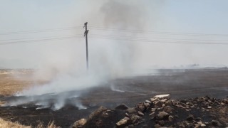 Gaziantepteki anız yangınıyla ilgili 3 kişi gözaltına alındı