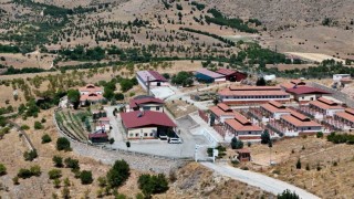 Geçici Hayvan Bakımevi ve Rehabilitasyon Merkezinde 15 bin sokak hayvanı tedavi edildi