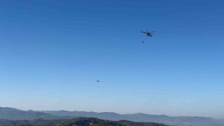 Gömeç, Ayvalık ve Bergamada binlerce hektar ağacı kül eden yangın kontrol altına alındı