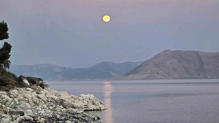 Gün batımı ve dolunay aynı karede