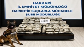 Hakkaride 57 kilo 200 gram skunk ele geçirildi