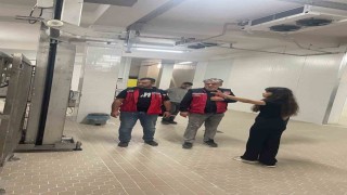 Hatay'da evcil hayvan yaş mama üretim tesisinde denetim gerçekleştirildi