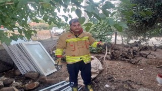 Hatayda yerleşim alanlarında görülen yılanlar doğal yaşam alanına bırakıldı