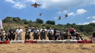 Havranda keklikler doğal yaşam alanlarına bırakıldı